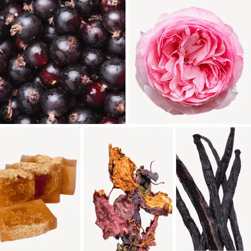Duftnoten: schwarze Johannisbeere, Zentifolie, Moschus, Patschuli, Vanille